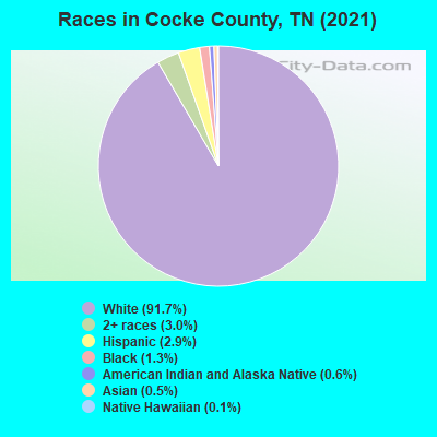 Races in Cocke County, TN (2022)