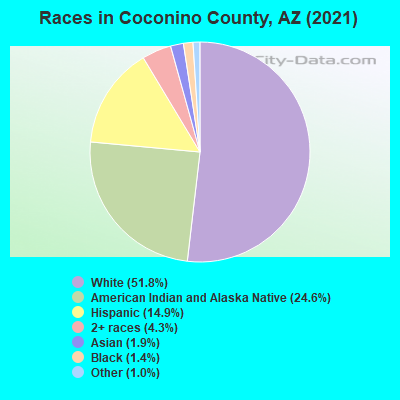 Races in Coconino County, AZ (2019)