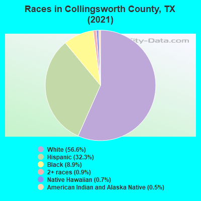 Races in Collingsworth County, TX (2022)