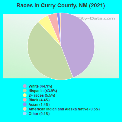 Races in Curry County, NM (2022)