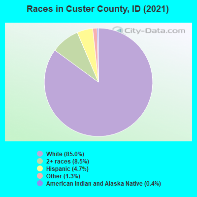 Races in Custer County, ID (2022)