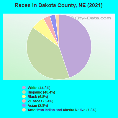 Races in Dakota County, NE (2022)
