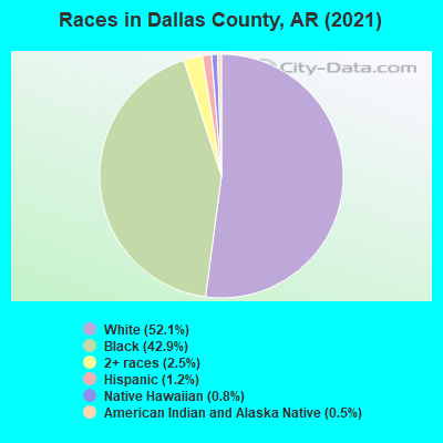 Races in Dallas County, AR (2019)