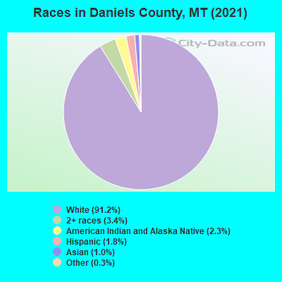 Races in Daniels County, MT (2019)