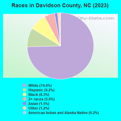 Races in Davidson County, NC (2022)