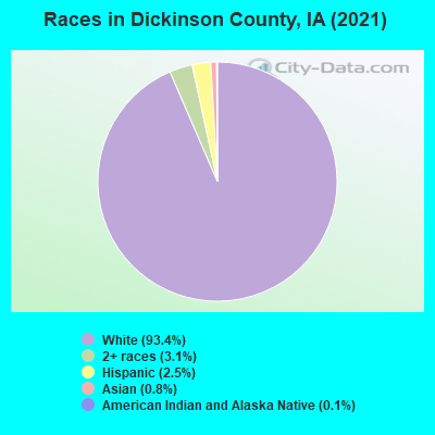 Races in Dickinson County, IA (2021)
