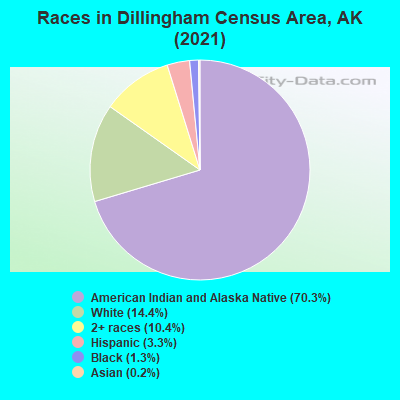 Races in Dillingham Census Area, AK (2022)