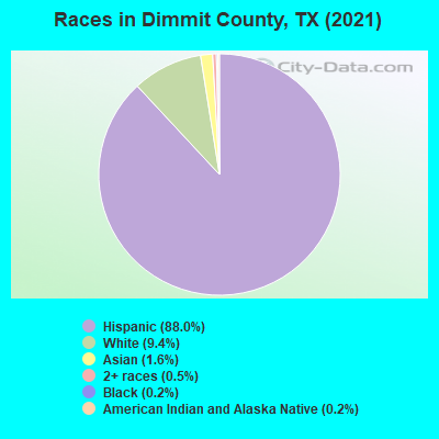 Races in Dimmit County, TX (2022)