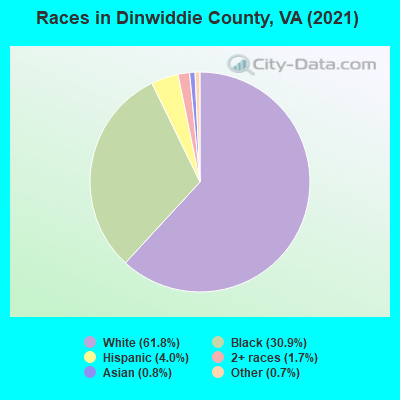 Races in Dinwiddie County, VA (2022)