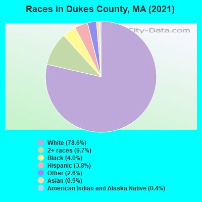 Races in Dukes County, MA (2022)