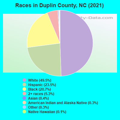 Races in Duplin County, NC (2021)