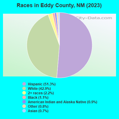 Races in Eddy County, NM (2021)
