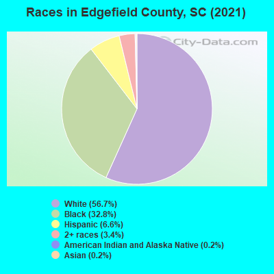 Races in Edgefield County, SC (2021)