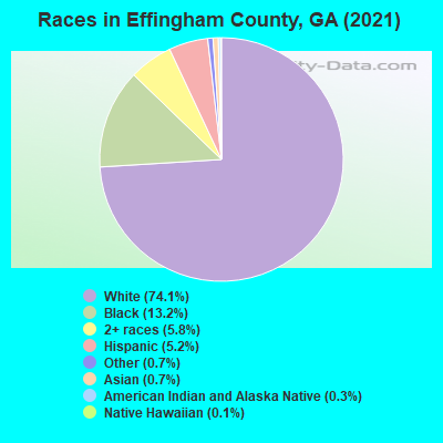 Races in Effingham County, GA (2021)