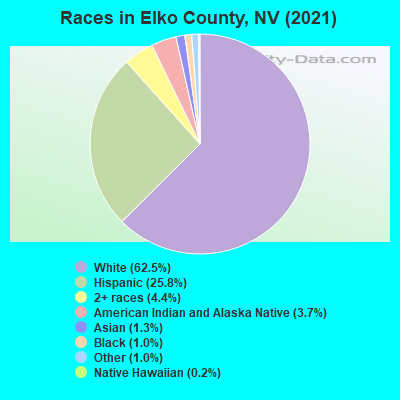 Races in Elko County, NV (2022)