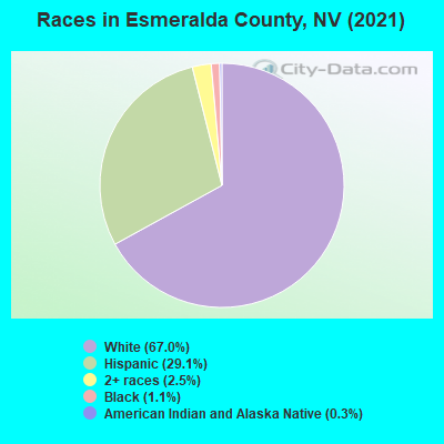 Races in Esmeralda County, NV (2022)