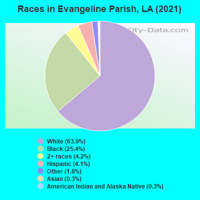 Races in Evangeline Parish, LA (2022)