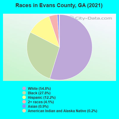 Races in Evans County, GA (2021)