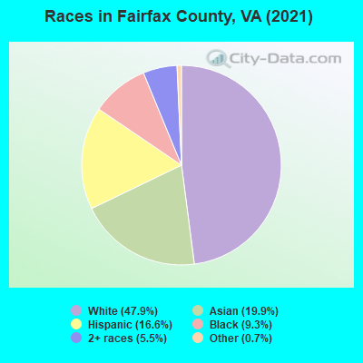 Races in Fairfax County, VA (2021)