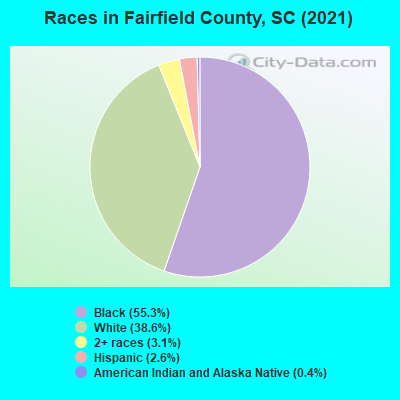 Races in Fairfield County, SC (2021)