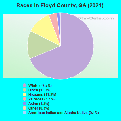 Races in Floyd County, GA (2021)