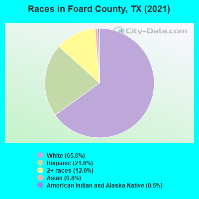 Races in Foard County, TX (2022)