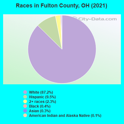 Races in Fulton County, OH (2022)