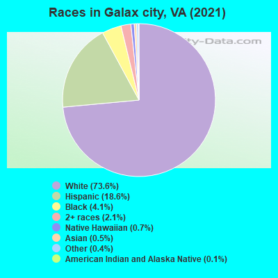 Races in Galax city, VA (2022)