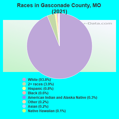 Races in Gasconade County, MO (2022)