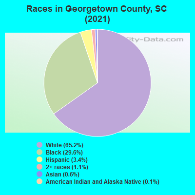 Races in Georgetown County, SC (2022)