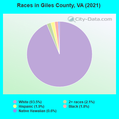 Races in Giles County, VA (2022)