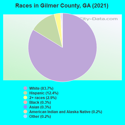 Races in Gilmer County, GA (2021)