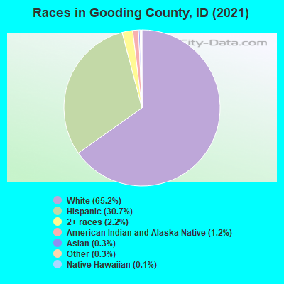 Races in Gooding County, ID (2019)
