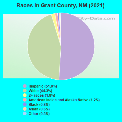 Races in Grant County, NM (2019)
