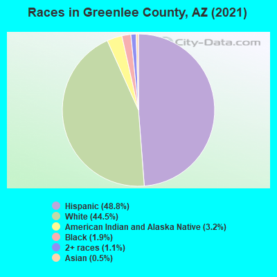 Races in Greenlee County, AZ (2019)