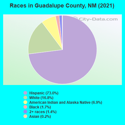 Races in Guadalupe County, NM (2019)