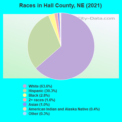 Races in Hall County, NE (2022)