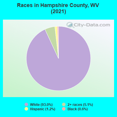 Races in Hampshire County, WV (2022)