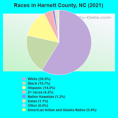 Races in Harnett County, NC (2021)