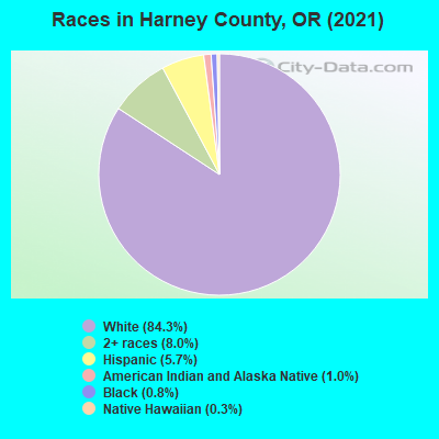 Races in Harney County, OR (2019)