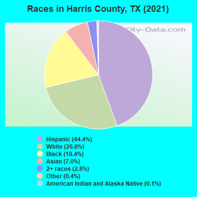 Races in Harris County, TX (2019)