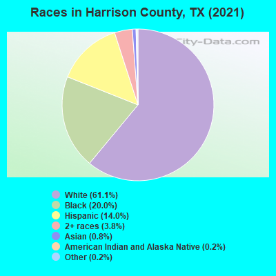 Races in Harrison County, TX (2021)