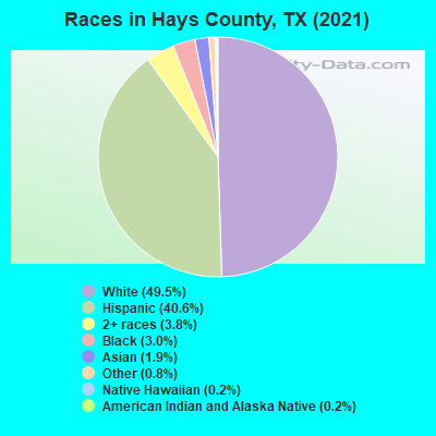 Races in Hays County, TX (2022)