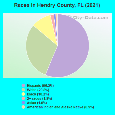 Races in Hendry County, FL (2021)