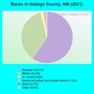Races in Hidalgo County, NM (2021)