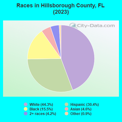 Races in Hillsborough County, FL (2022)