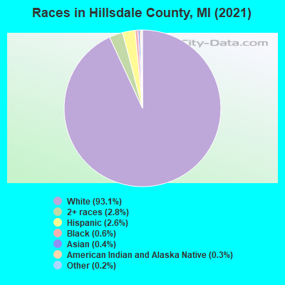 Races in Hillsdale County, MI (2021)