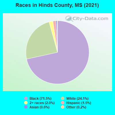 Races in Hinds County, MS (2022)