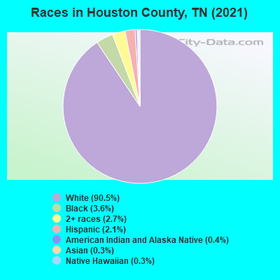 Races in Houston County, TN (2022)
