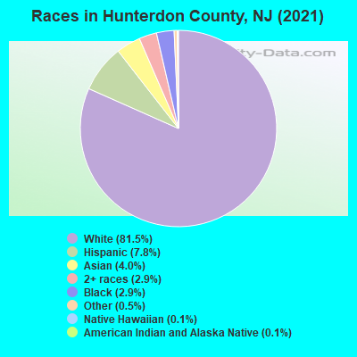 Races in Hunterdon County, NJ (2022)